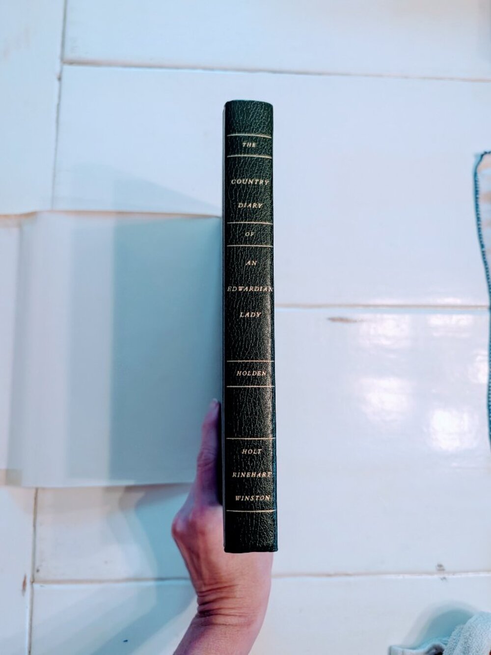 1977 The Country Diary of an Edwardian Lady Edith Holden HC/DJ 1st Ed 2nd Print - Picture 6 of 11